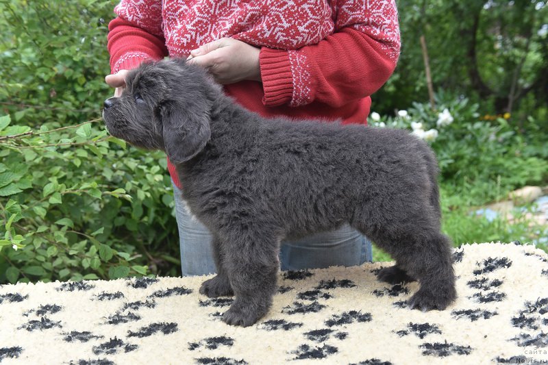 Фотография № 227721