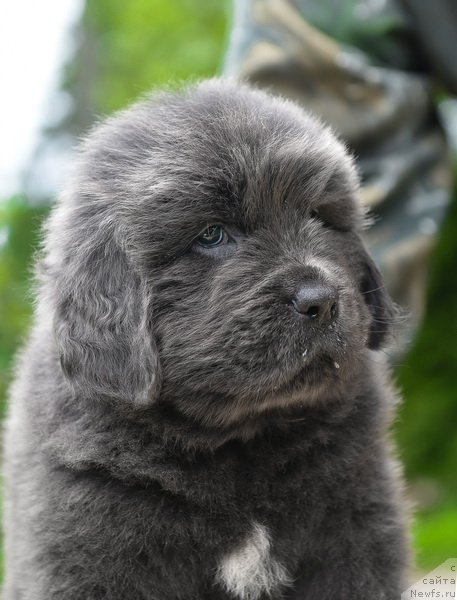 Фотография № 227725