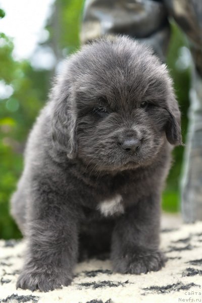 Фотография № 227727