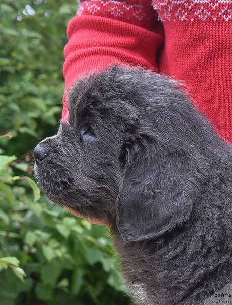 Фотография № 227728