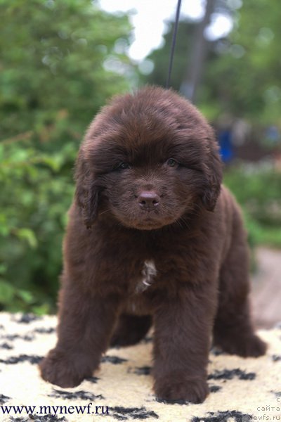 Фотография № 227729