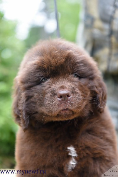 Фотография № 227730