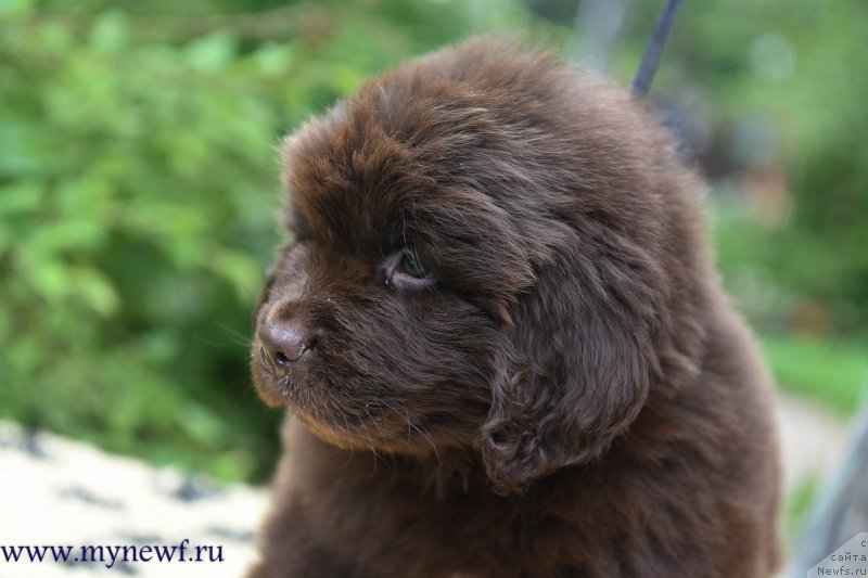 Фотография № 227732