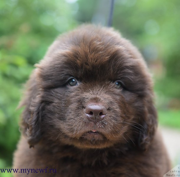 Фотография № 227733