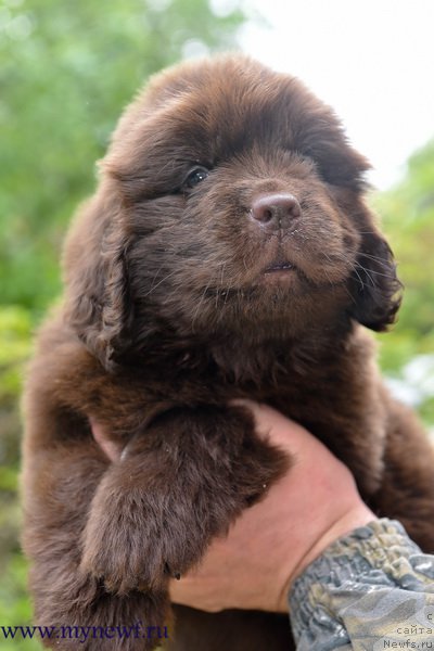 Фотография № 227734