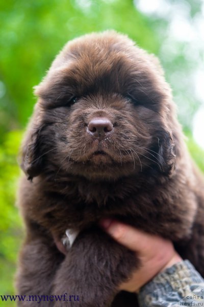 Фотография № 227735