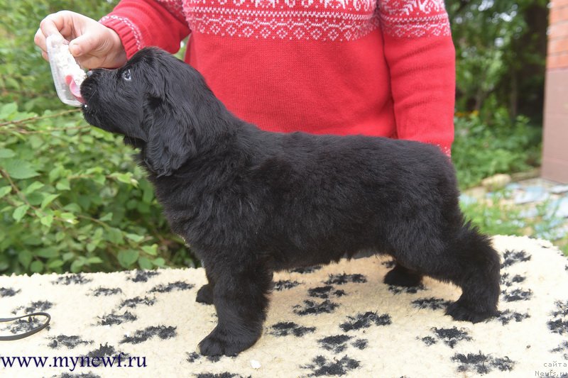 Фотография № 227741