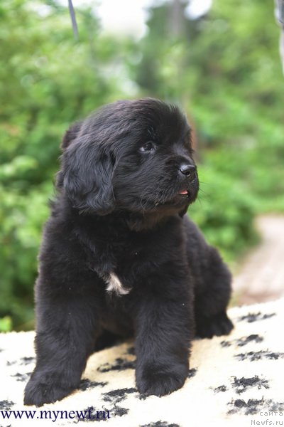 Фотография № 227742