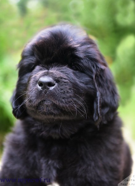 Фотография № 227747