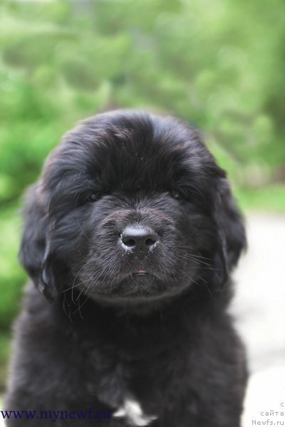 Фотография № 227748