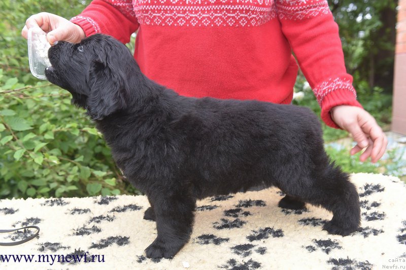 Фотография № 227749