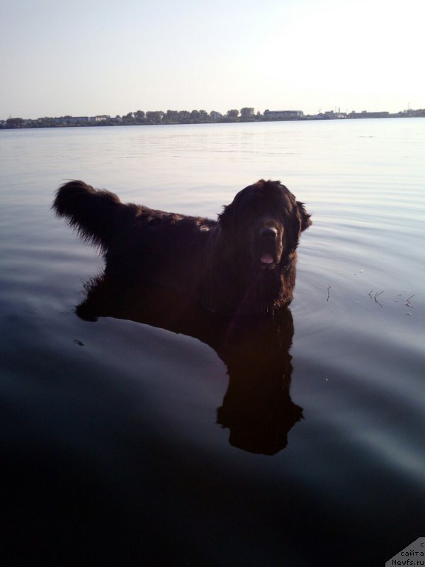 Фотография № 227776