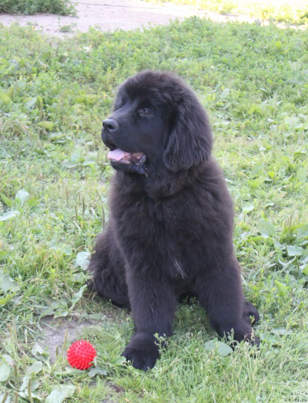 Фотография № 227791