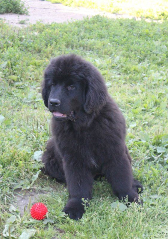 Фотография № 227792