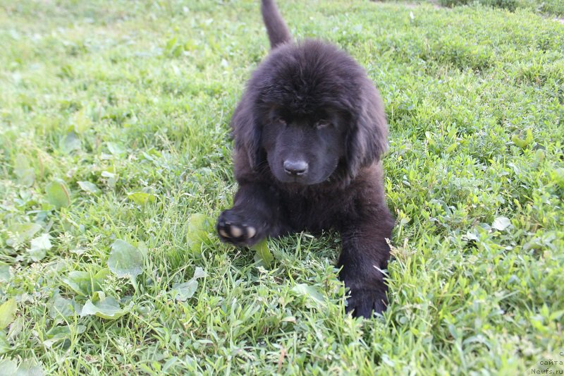 Фотография № 227793