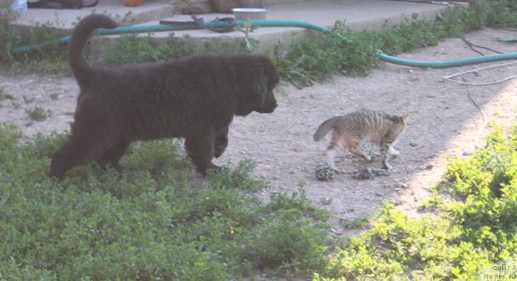 Фотография № 227794