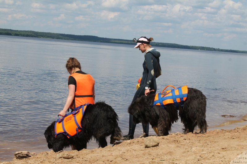 Фотография № 227798