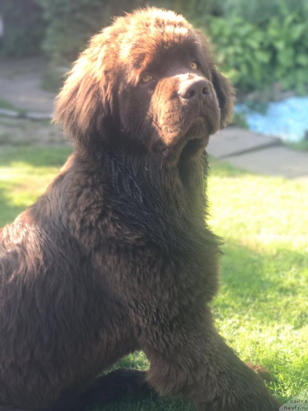 Фотография № 227831