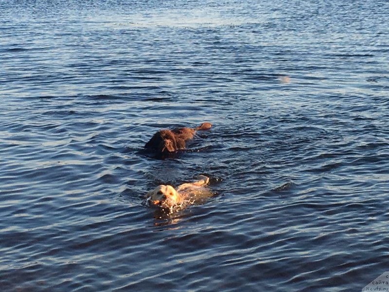 Фотография № 227833