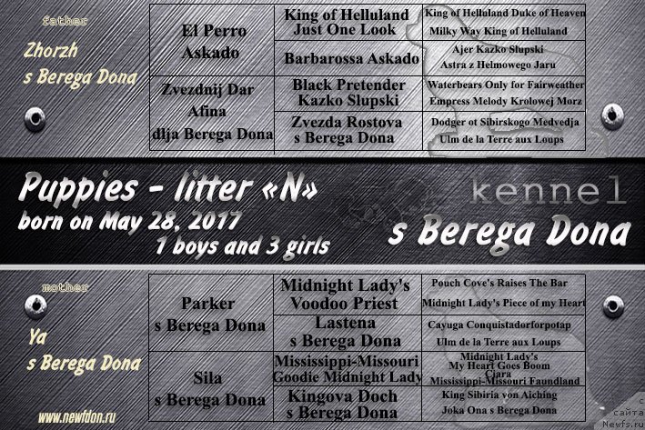 Фотография № 227835