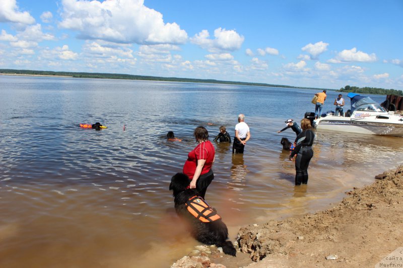 Фотография № 227853