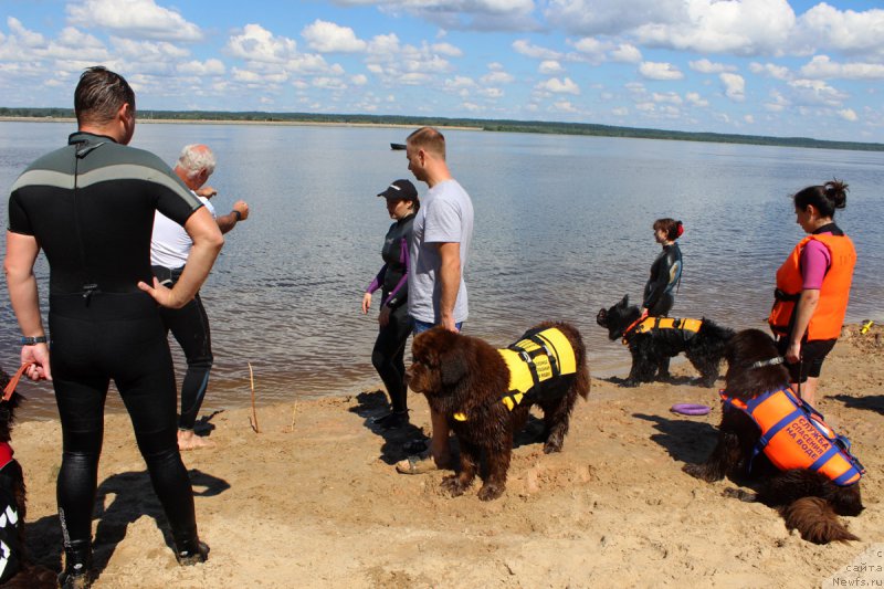 Фотография № 227856