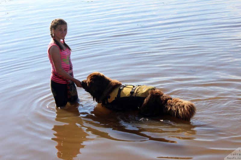 Фотография № 227858