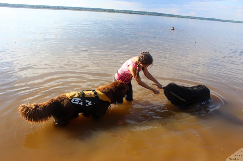 Фотография № 227859