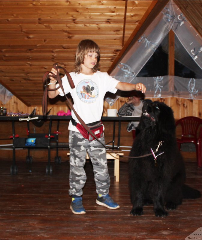 Фотография № 227874