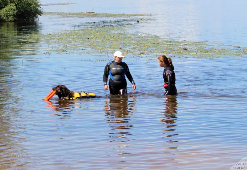 Фотография № 227877