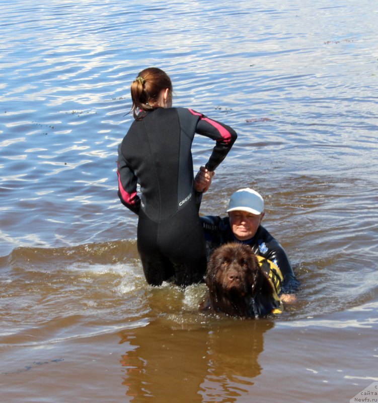Фото: Inguna Tihomirova (Ингуна Тихомирова), ньюфаундленд Brownblood MSK Audi Red Less (Браунблад МСК Ауди Рэд Лэсс), Mariya SHmeleva (Мария Шмелева)