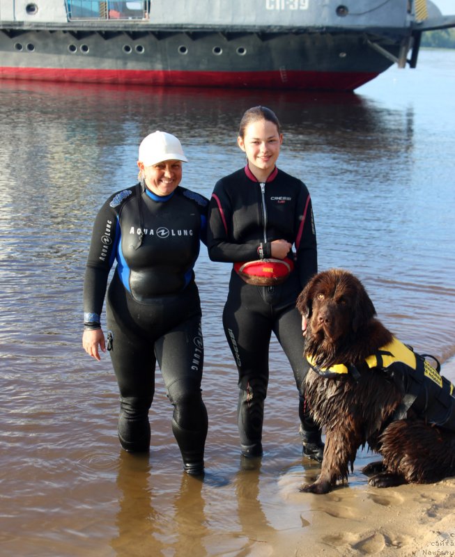 Фото: Inguna Tihomirova (Ингуна Тихомирова), ньюфаундленд Brownblood MSK Audi Red Less (Браунблад МСК Ауди Рэд Лэсс), Mariya SHmeleva (Мария Шмелева)