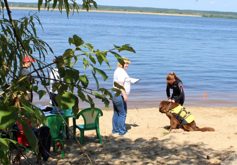 Фотография № 227880