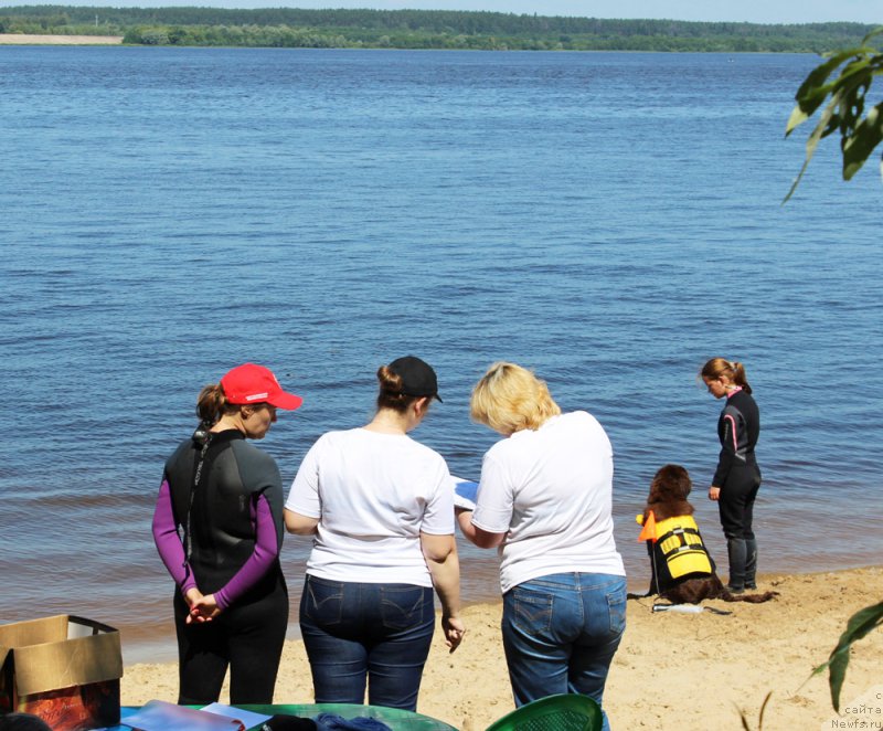 Фотография № 227881