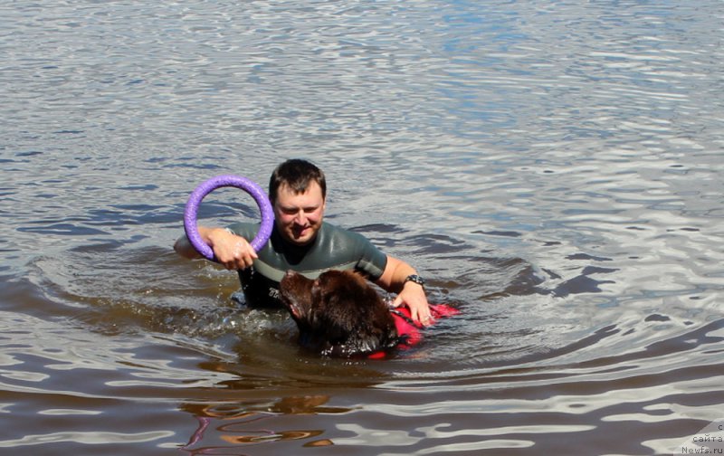 Фотография № 227891