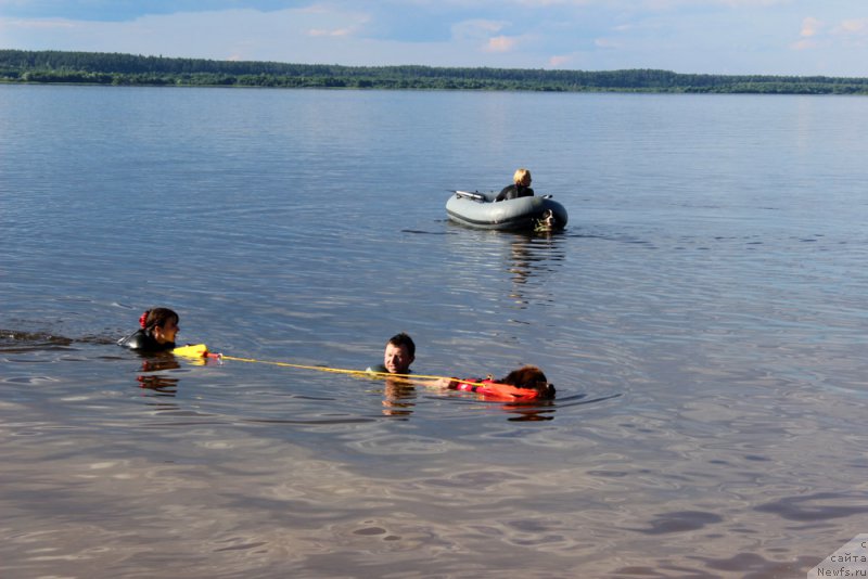 Фото: ньюфаундленд Chara Hani Les (Чара Хани Лес), Aleksandr CHervanyov (Александр Черванёв)