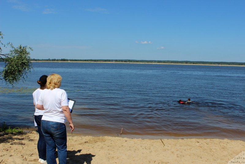 Фотография № 227894