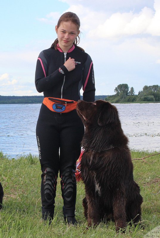 Фотография № 227899