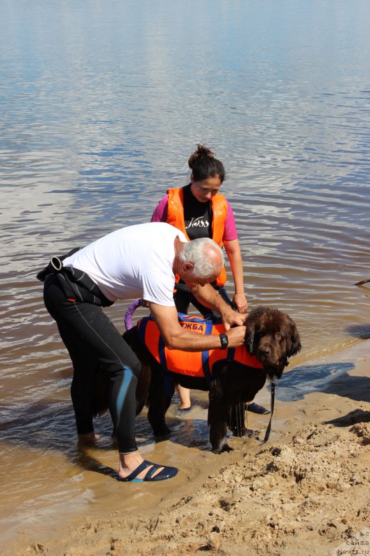 Фотография № 227901