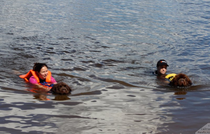 Фотография № 227902