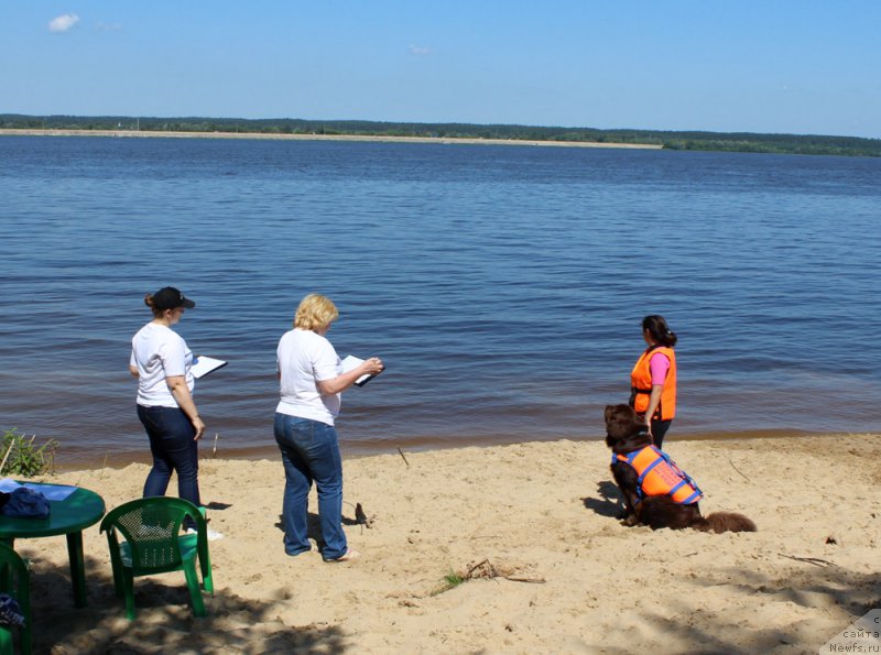 Фотография № 227904