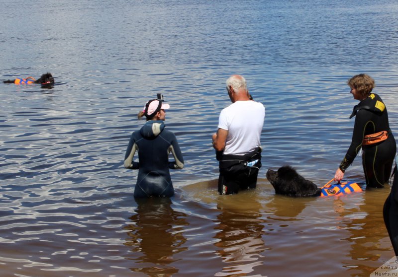 Фотография № 227915