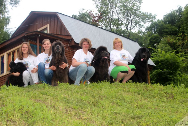 Фотография № 227920