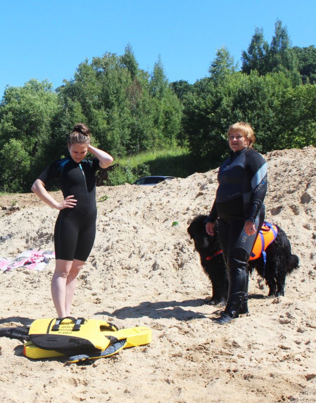 Фото: ньюфаундленд Russkaya Krasavica Nyura (Русская Красавица Нюра), Elena Bajutina (Елена Бажутина)