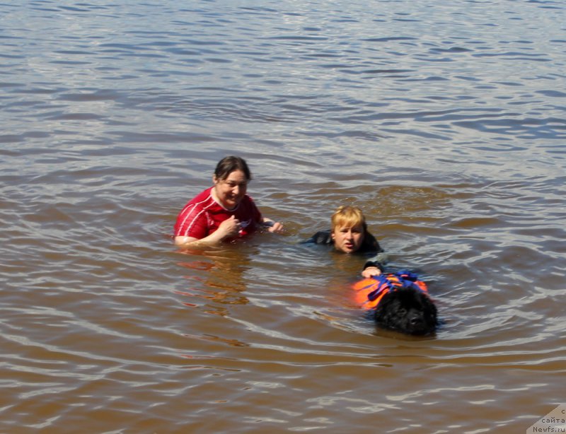 Фотография № 227935