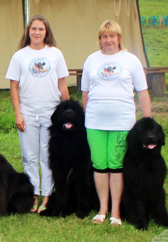 Фото: ньюфаундленд Russkaya Krasavica Nyura (Русская Красавица Нюра), Elena Bajutina (Елена Бажутина), ньюфаундленд Predannyiy Drug (Преданный Друг)