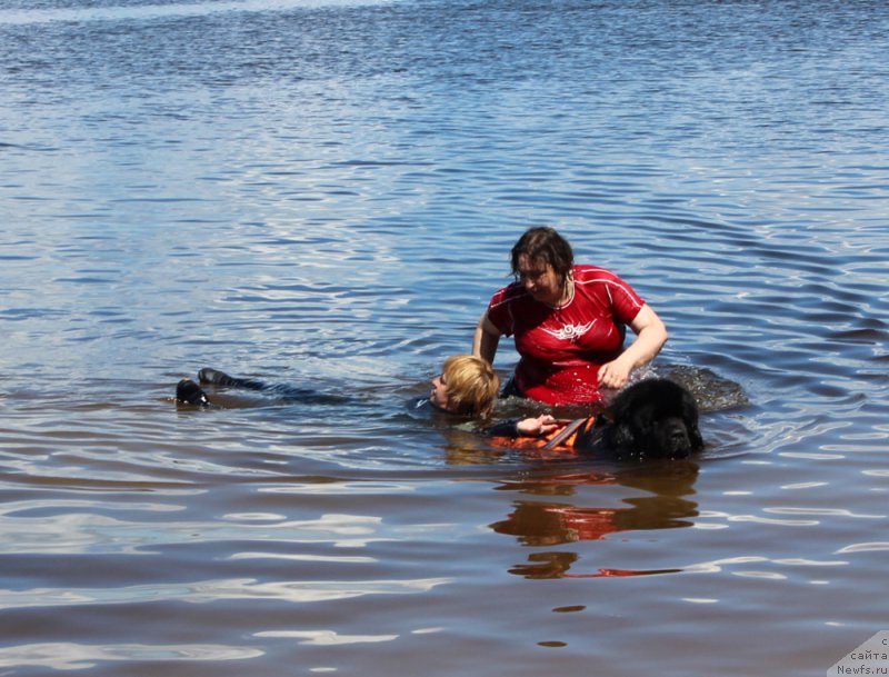 Фотография № 227942