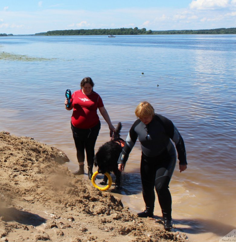 Фотография № 227943