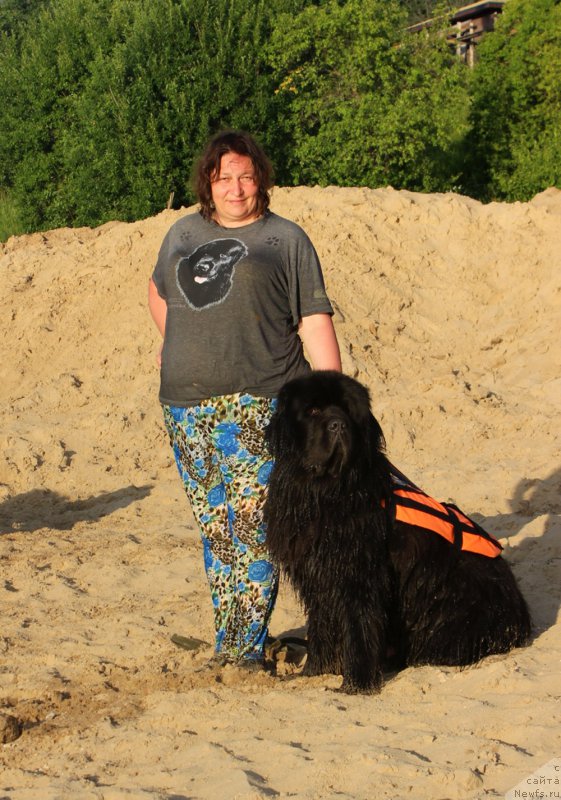 Фотография № 227946