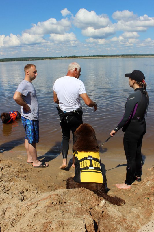 Фото: Dmitriy Samarcev (Дмитрий Самарцев), ньюфаундленд Charli The Best Helfi Pel (Чарли Де Бест Хелфи Пэл), Svetlana Samarceva (Светлана Самарцева)
